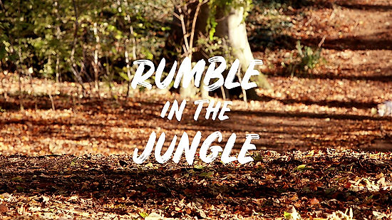 Rumble in Jungle
